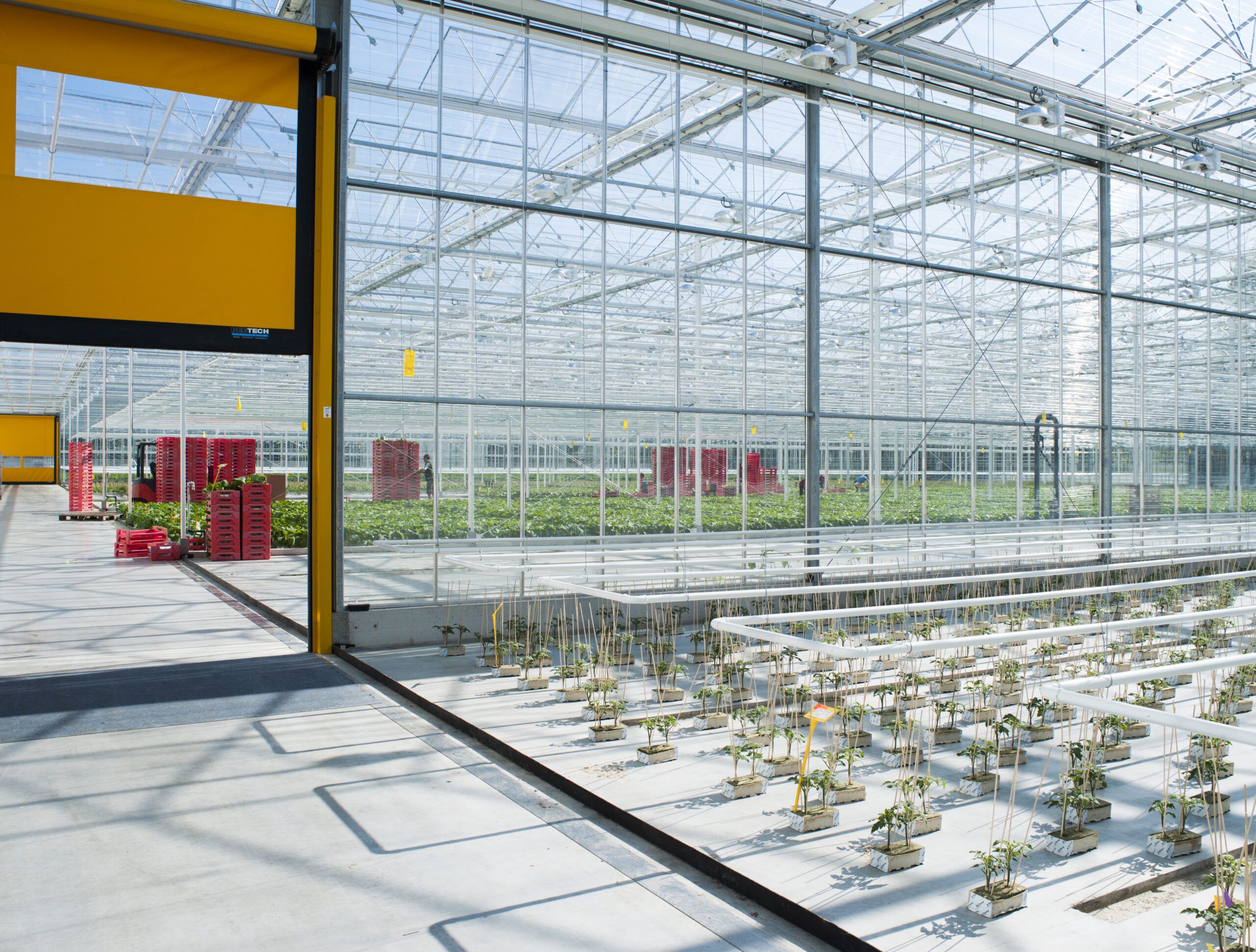 Venlo Greenhouses - Westbrook Greenhouse Systems | Commercial Greenhouses |  Greenhouse Structures